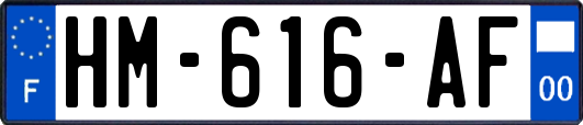 HM-616-AF