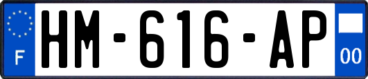 HM-616-AP