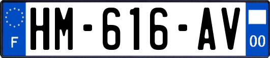 HM-616-AV