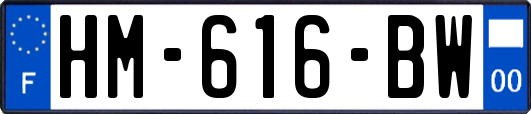 HM-616-BW