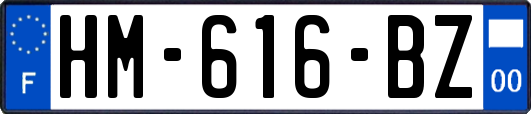 HM-616-BZ
