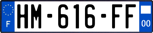 HM-616-FF
