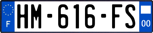 HM-616-FS