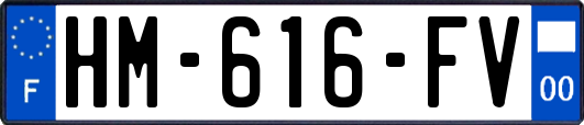 HM-616-FV