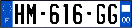 HM-616-GG