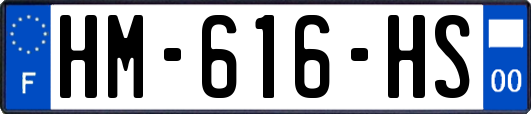 HM-616-HS