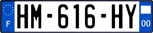 HM-616-HY