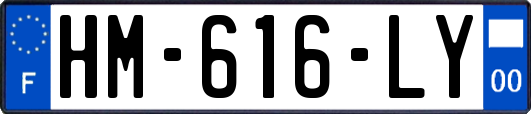 HM-616-LY