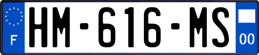 HM-616-MS