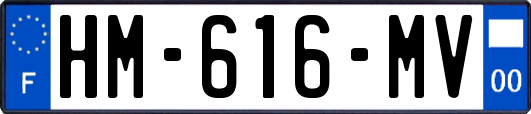 HM-616-MV