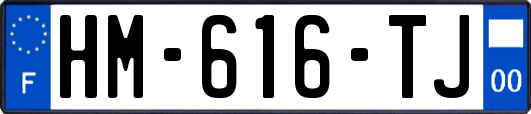 HM-616-TJ
