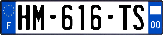 HM-616-TS