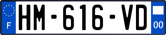 HM-616-VD