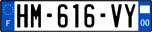 HM-616-VY