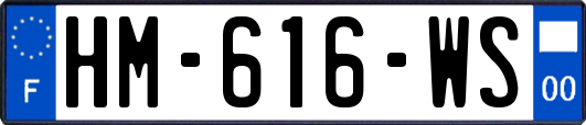 HM-616-WS