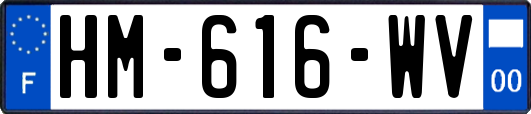 HM-616-WV