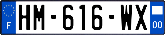 HM-616-WX