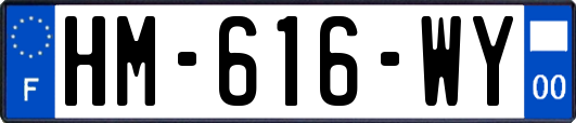 HM-616-WY