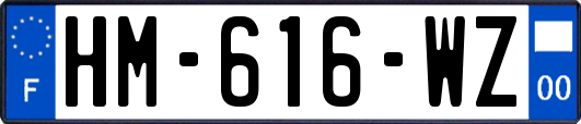 HM-616-WZ