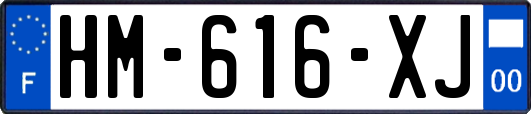 HM-616-XJ