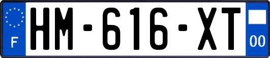HM-616-XT