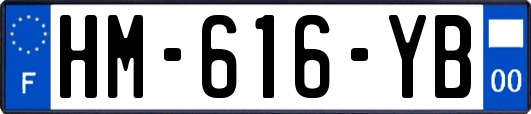 HM-616-YB