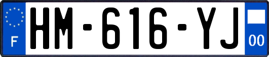 HM-616-YJ