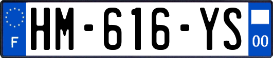 HM-616-YS