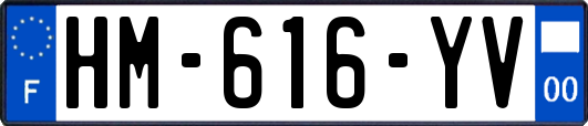 HM-616-YV