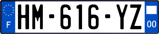 HM-616-YZ