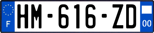 HM-616-ZD