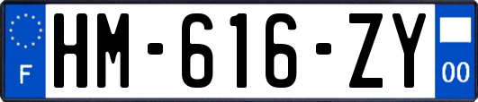HM-616-ZY