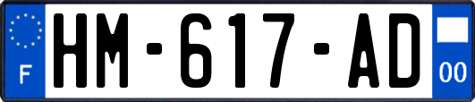 HM-617-AD