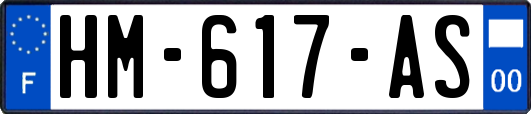 HM-617-AS