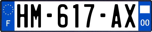 HM-617-AX