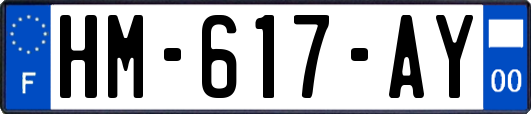 HM-617-AY