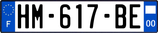 HM-617-BE