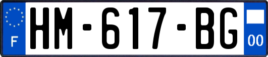 HM-617-BG
