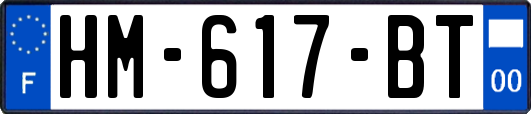 HM-617-BT