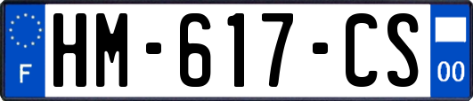 HM-617-CS