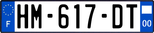 HM-617-DT
