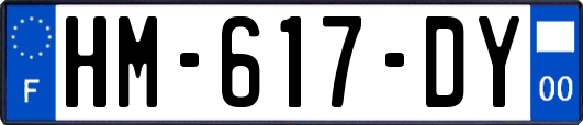 HM-617-DY