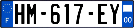 HM-617-EY