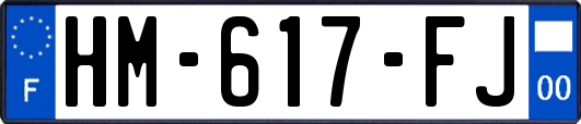 HM-617-FJ