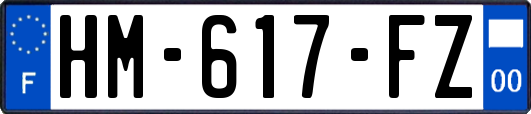 HM-617-FZ