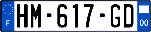 HM-617-GD