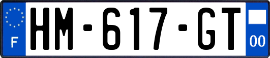 HM-617-GT