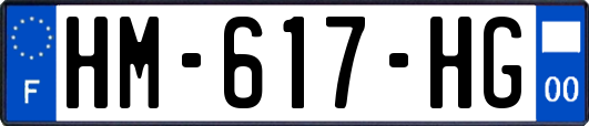 HM-617-HG