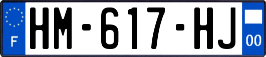 HM-617-HJ