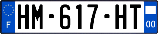 HM-617-HT